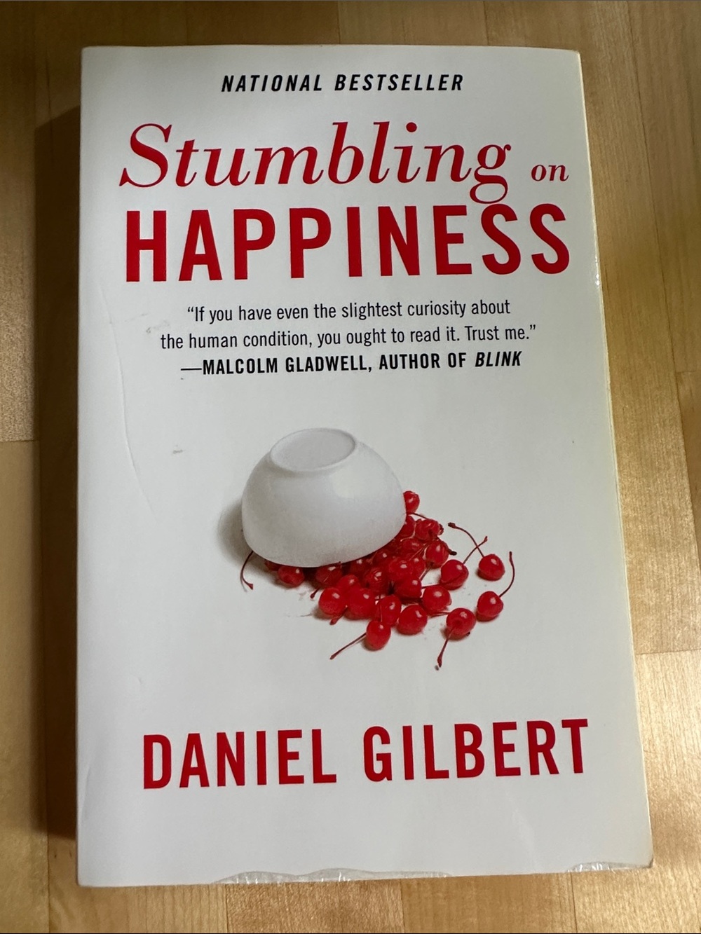 Daniel Gilbert Stumbling on Happiness paperback book